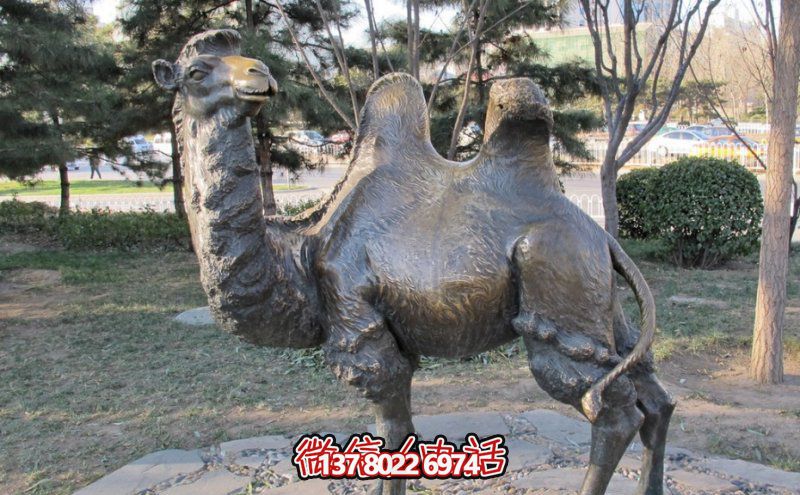 創意大型玻璃鋼駱駝雕塑，在草地上擺放，一眼回頭
